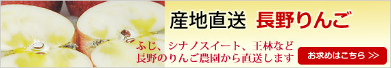 産地直送 長野りんご