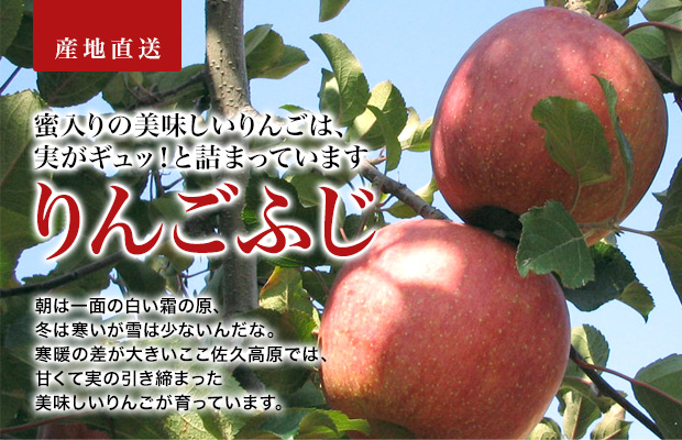 長野産のふじです。美味しい蜜入りんごを産地直送します。【減農薬栽培 ...