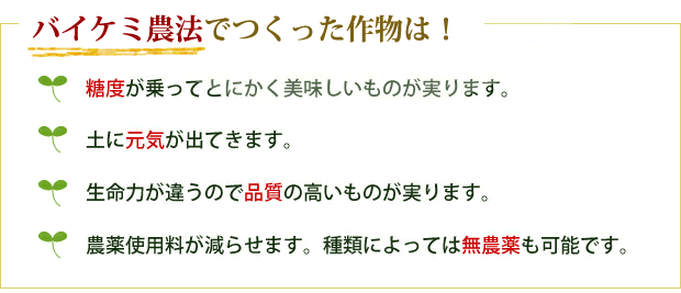 バイケミ農法でつくった作物は