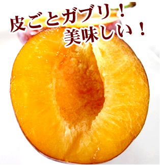 プルーン